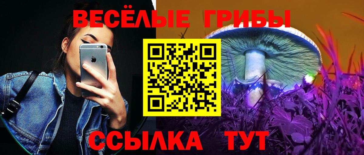 Псилоцибиновые грибы Cubensis Красноярск