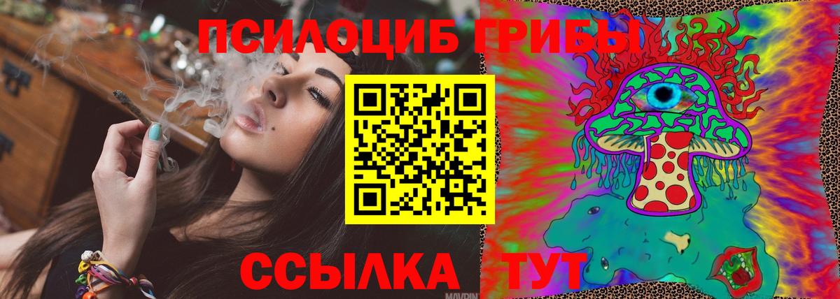 Псилоцибиновые грибы мухоморы  даркнет сайт  Красноярск  Галлюциногенные грибы ЛСД  Вход с VPN 