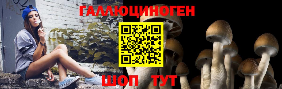 Конопля  COCAIN  Красноярск  Вход с VPN  MDMA  Мефедрон   A PVP СОЛЬ кристаллы  Метамфетамин 