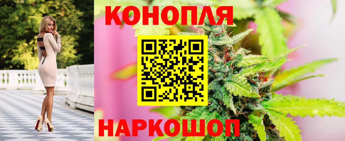 Бошки марихуана семена  Бошки Шишки ГИДРОПОН  Бошки марихуана сатива  Вход с VPN  Красноярск 